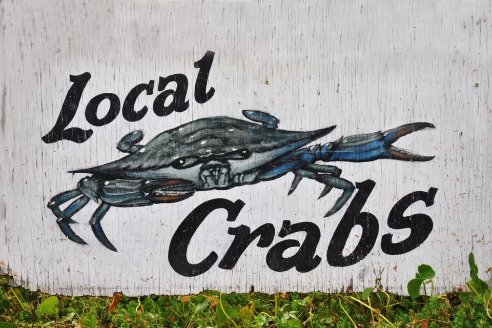 Baltimore Crabs